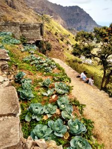 cape verde, cabo verde, san antao, paul valley, vale do paul, hiking, terracing