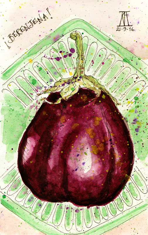berenjena, aubergine, eggplant, vegetable, food, drawing, water colour, sketch, pen and watercolour, watercolor, illustration