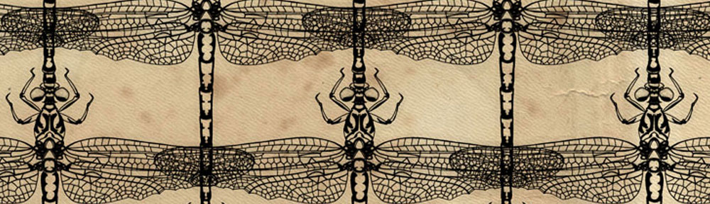 Dragonfly, dragonflies, digital collage, illustration, pen drawing