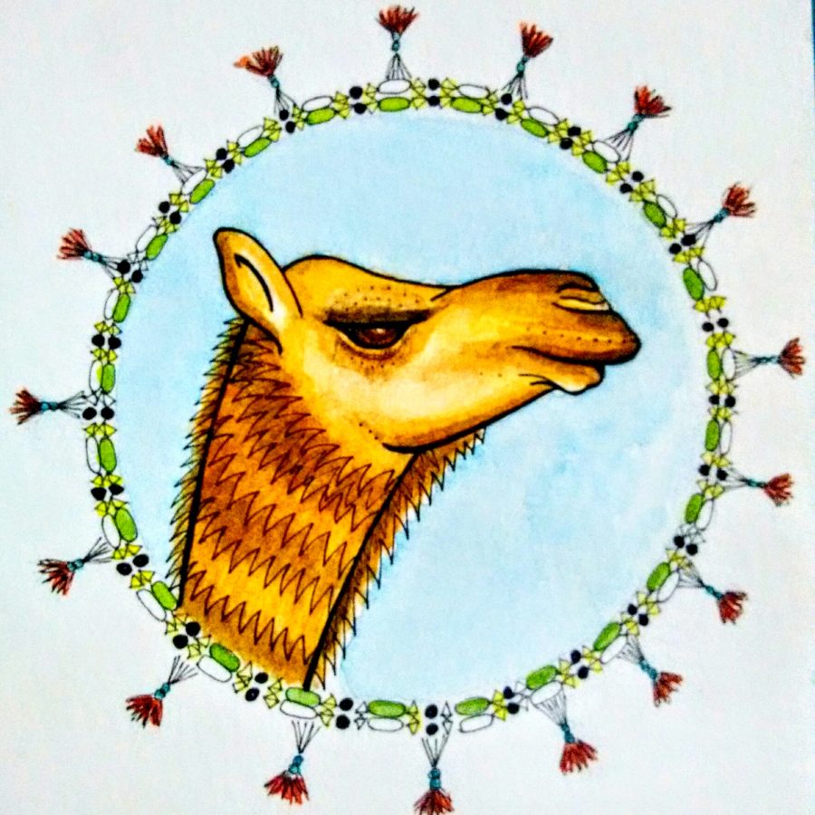 camel, pushkar, camel fair, camel decoration, pen and wash, watercolour, drawing, sketchbook, watercolor