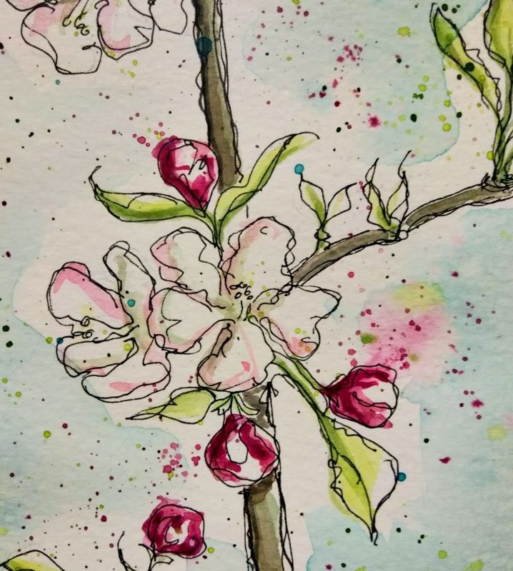 apple blossom, flowers, springtime, essex, pen and wash, watercolour, watercolor, painting, drawing, sketchbook, illustration, leaves