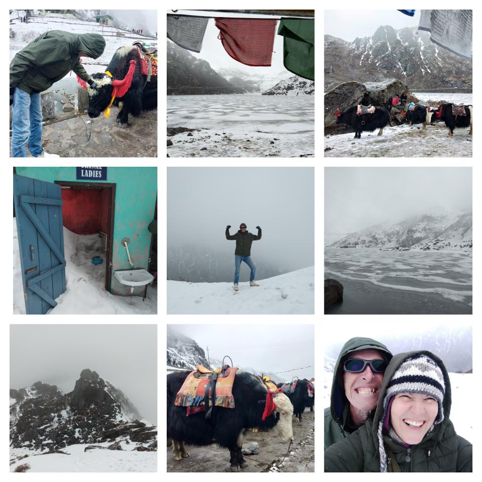 tsomgo lake, frozen lake, west sikkim, sikkim, india, ice, yaks, prayer flags