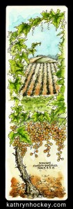 grape harvest, andalucia, sherry, jerez, bodegas faustino gonzalez, pen and wash, pen and watercolour, pen and watercolour, sketch