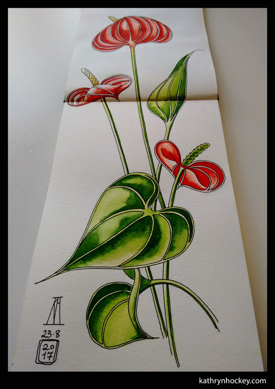 red, anthurium, plant, flower, pen and watercolour, watercolour, water color, acuarela, sketch, illustration