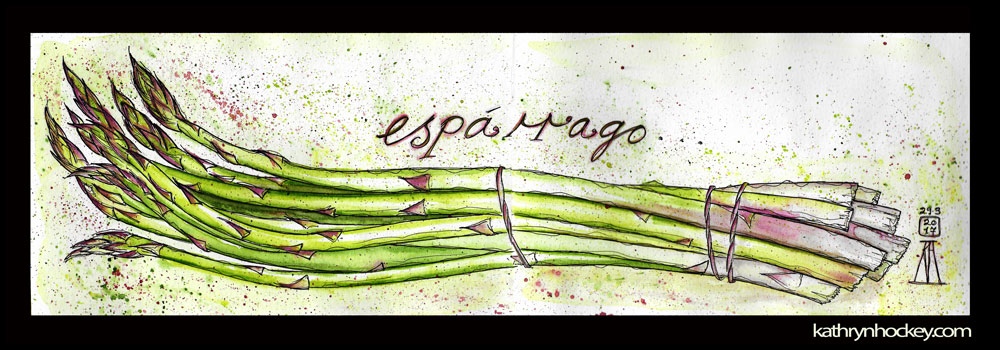 asparagus, esparrago, spring, vegetables, pen and watercolour, watercolour, water color, acuarela, sketch, food, illustration