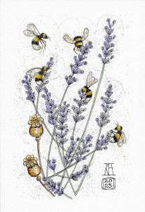 bees, bumble bee, lavender, flowers, poppy, seed heads, insects, pollinators, pen and wash, watercolour, painting, drawing, sketch, sketching, illustration
