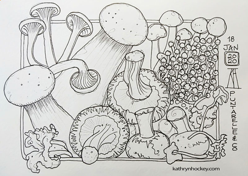mushrooms, watercolor, puntarelle, bermondsey, london, watercolour, painting, sketchbook, pen and wash, food illustration, illustration, drawing, paint it then eat it