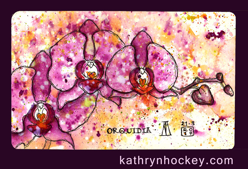 orchid, orchid, flowers, pen and watercolour, watercolour, water color, acuarela, sketch, illustration