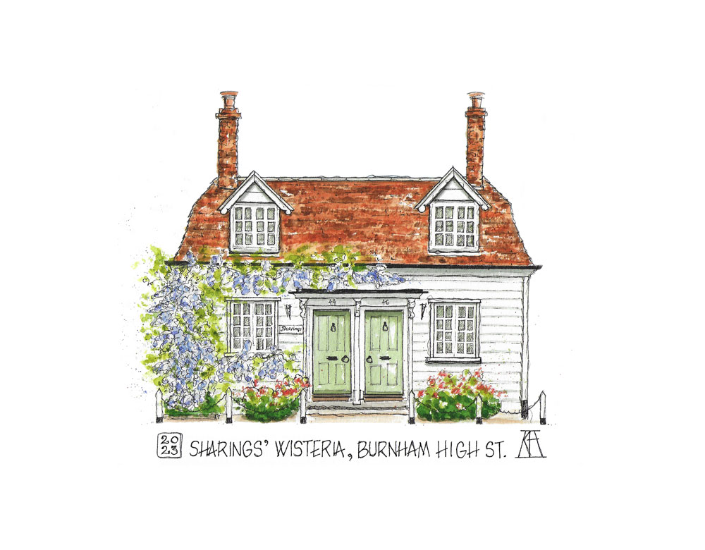 burnham art trail, sharings, wisteria, weatherboard, cottage, high street, burnham-on-crouch, pen and wash, watercolour, painting, drawing, landscape, house, cottage core