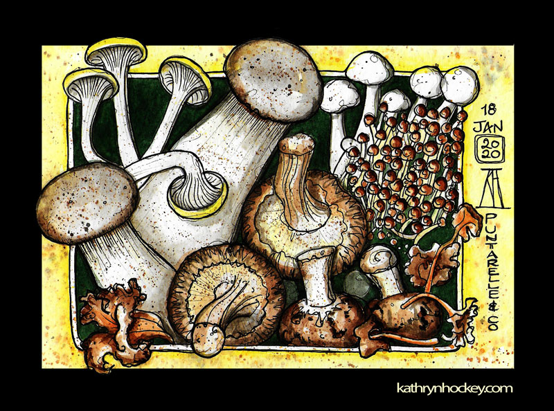 mushrooms-crop2-kathryn-hockey-artist-illustrator