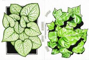 clerkenwell, london, collage, pen and wash, watercolour, painting, st johns garden, leaves, artwork, drawing, concertina sketchbook