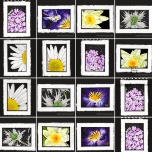 flowers, mixed media, pen and wash, marker pen, felt tip, watercolour, coloured, pencil, ink, metalic pen, burnham art trail, mixed media, artwork, paintings, exhibition, group show, art show, essex, burnham-on-crouch, art for sale